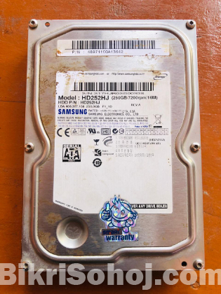 Hard Disk 250GB (Samsung)